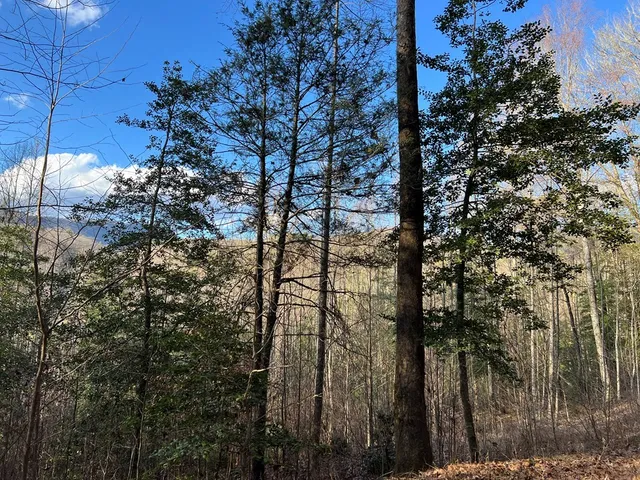 $49,000 | Lot 45 Tusquittee Crossing, Hayesville, NC 28904