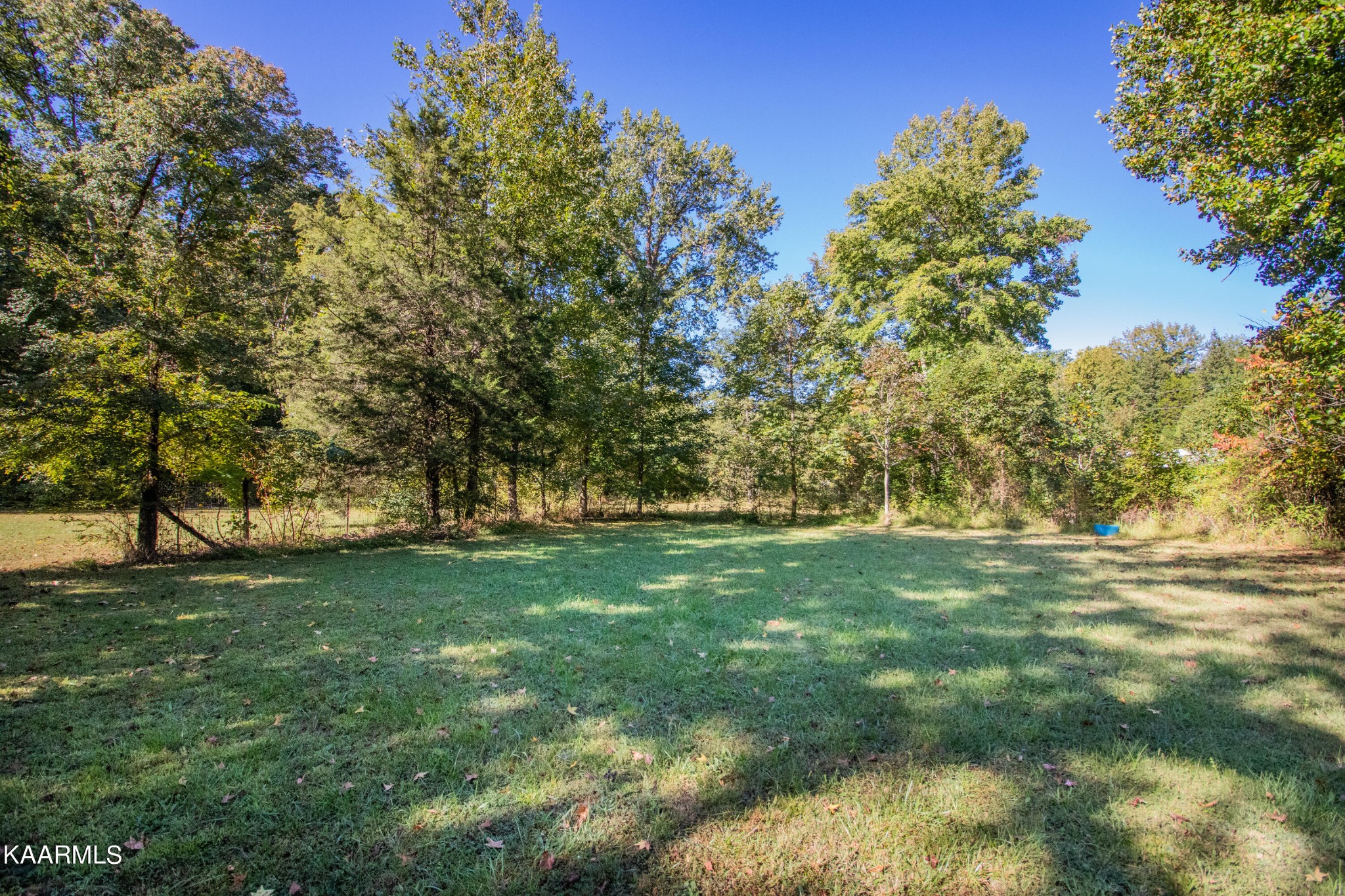 3879 Roan Creek Road Lobelville, TN 37097 - Photo 11 of 45 a view of a field with a tree