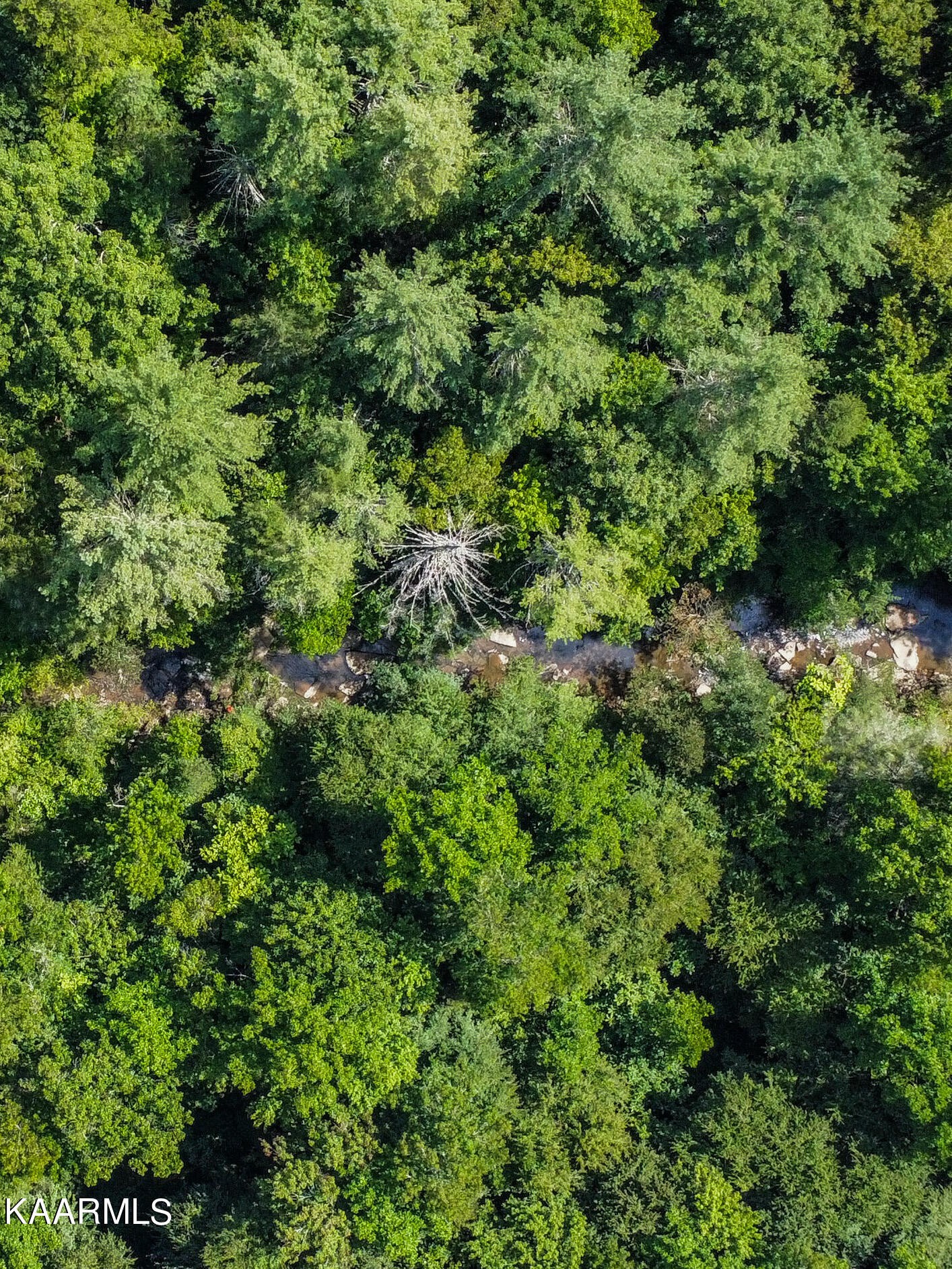 3879 Roan Creek Road Lobelville, TN 37097 - Photo 13 of 45 an aerial view of residential house with outdoor space and trees all around