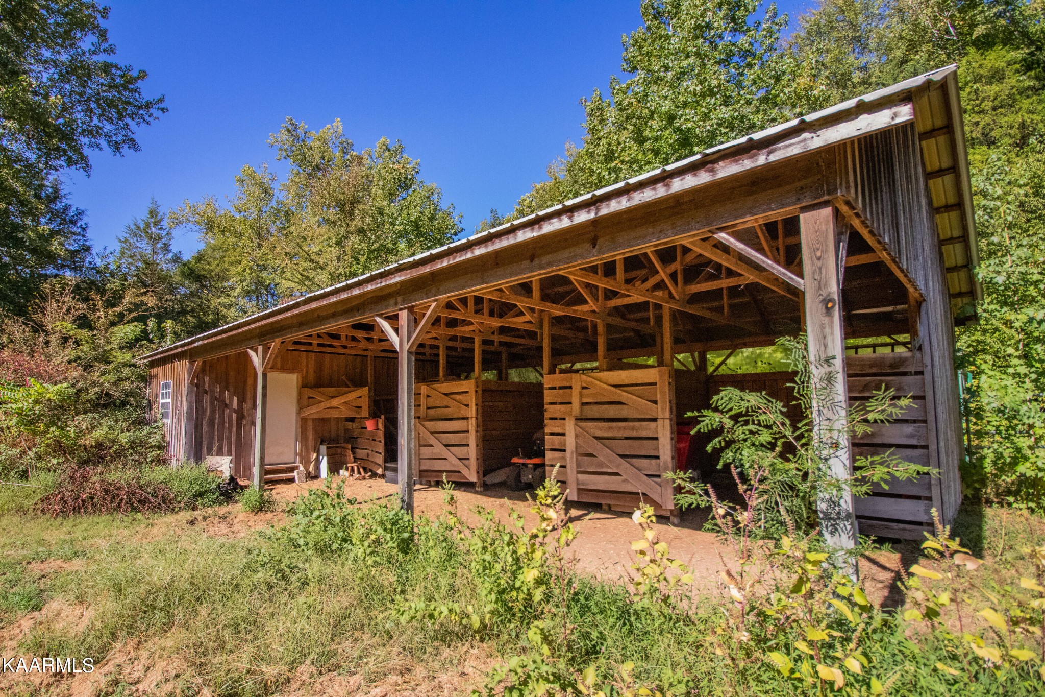 3879 Roan Creek Road Lobelville, TN 37097 - Photo 7 of 45 front view of a house with a yard