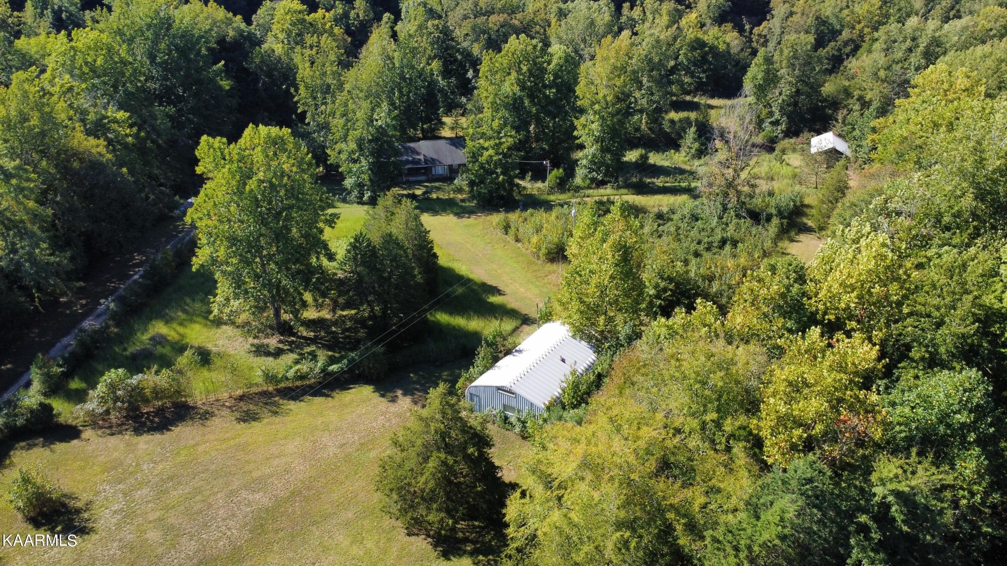 3879 Roan Creek Road Lobelville, TN 37097 - Photo 9 of 45 a view of a yard with plants and tree