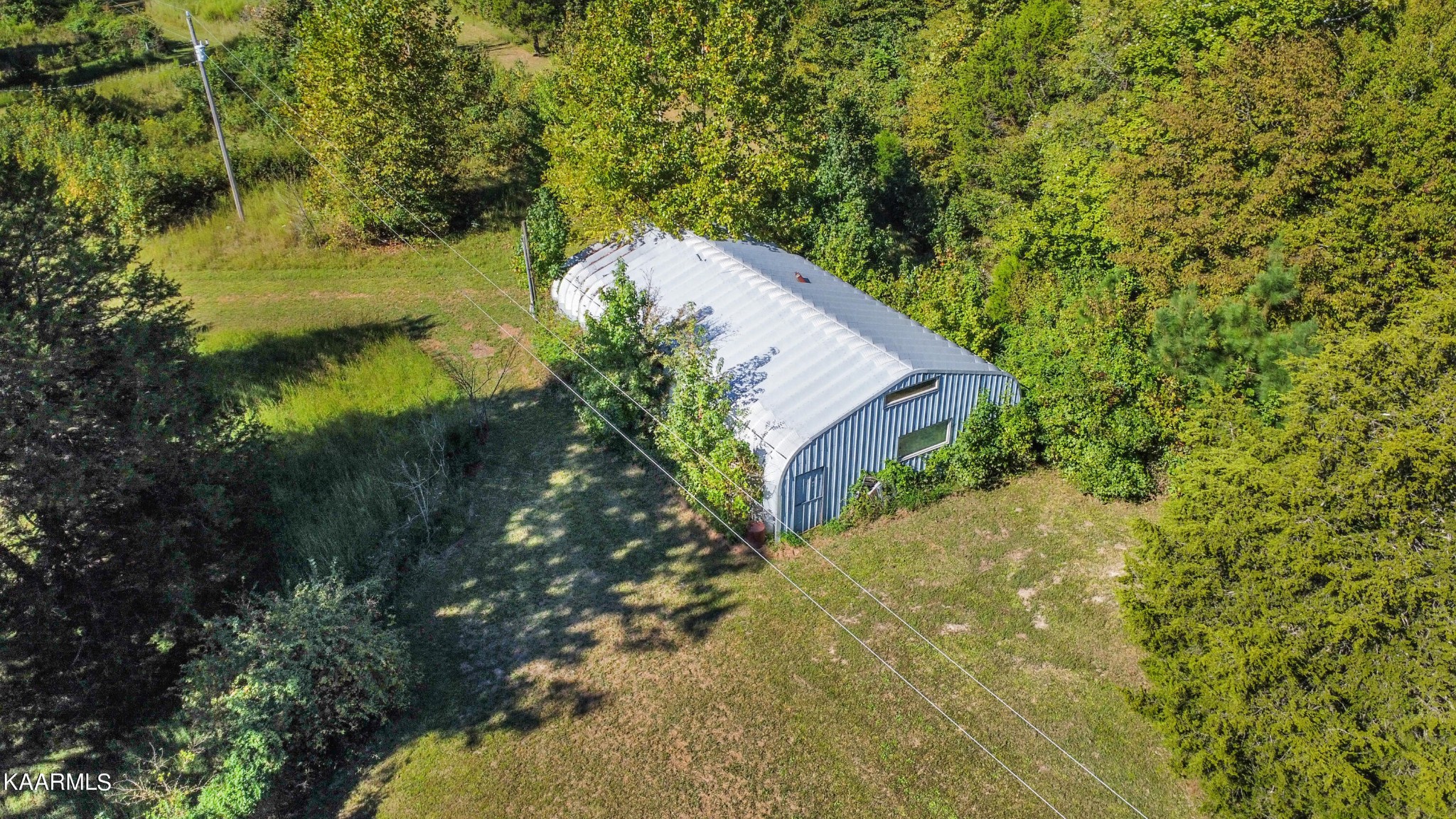 3879 Roan Creek Road Lobelville, TN 37097 - Photo 10 of 45 a view of a house in a forest