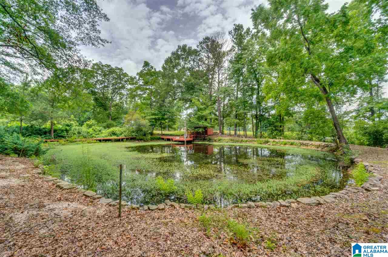 2995 County Road 77 Clanton, AL 35045 - Photo 46 of 50