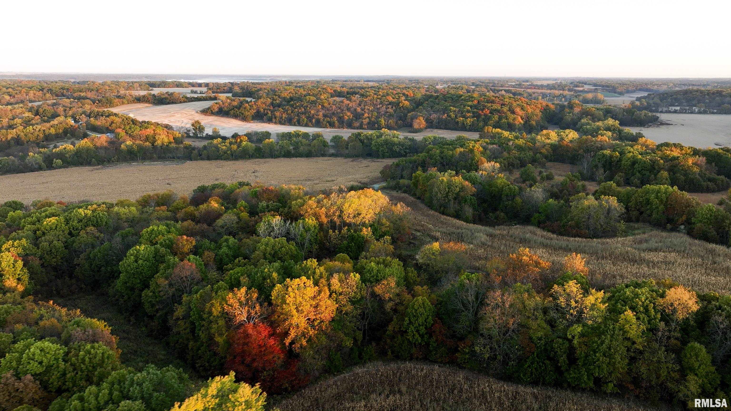 0 North Polecat Road Cuba, IL 61427 - Photo 1 of 39 Gallery Image 1
