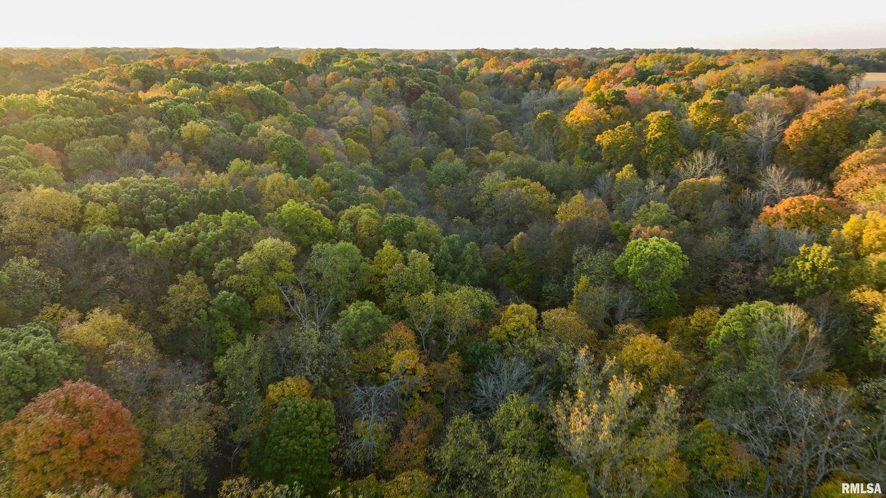 0 North Polecat Road Cuba, IL 61427 - Photo 13 of 39 Gallery Image 13