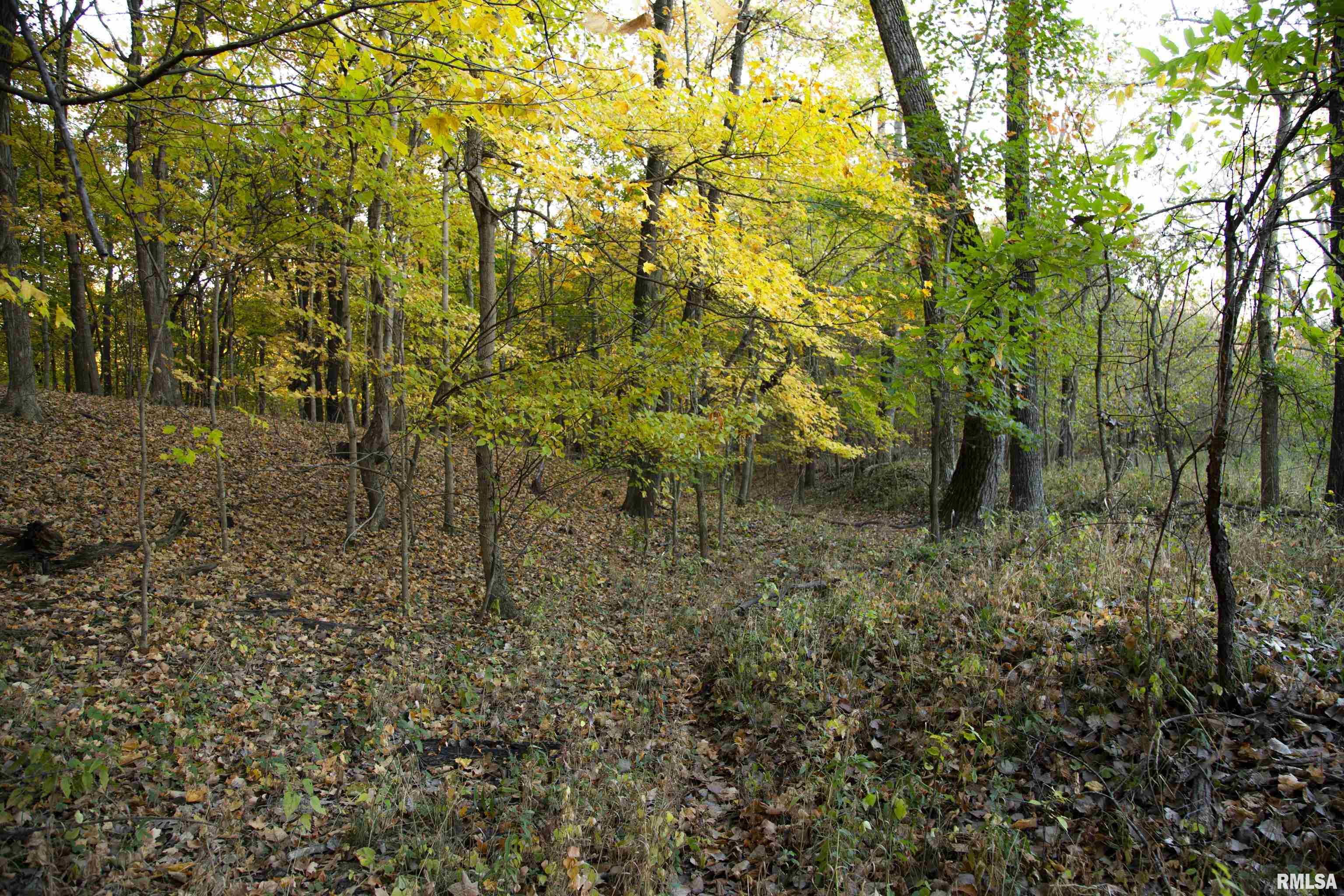 0 North Polecat Road Cuba, IL 61427 - Photo 16 of 39 Gallery Image 16