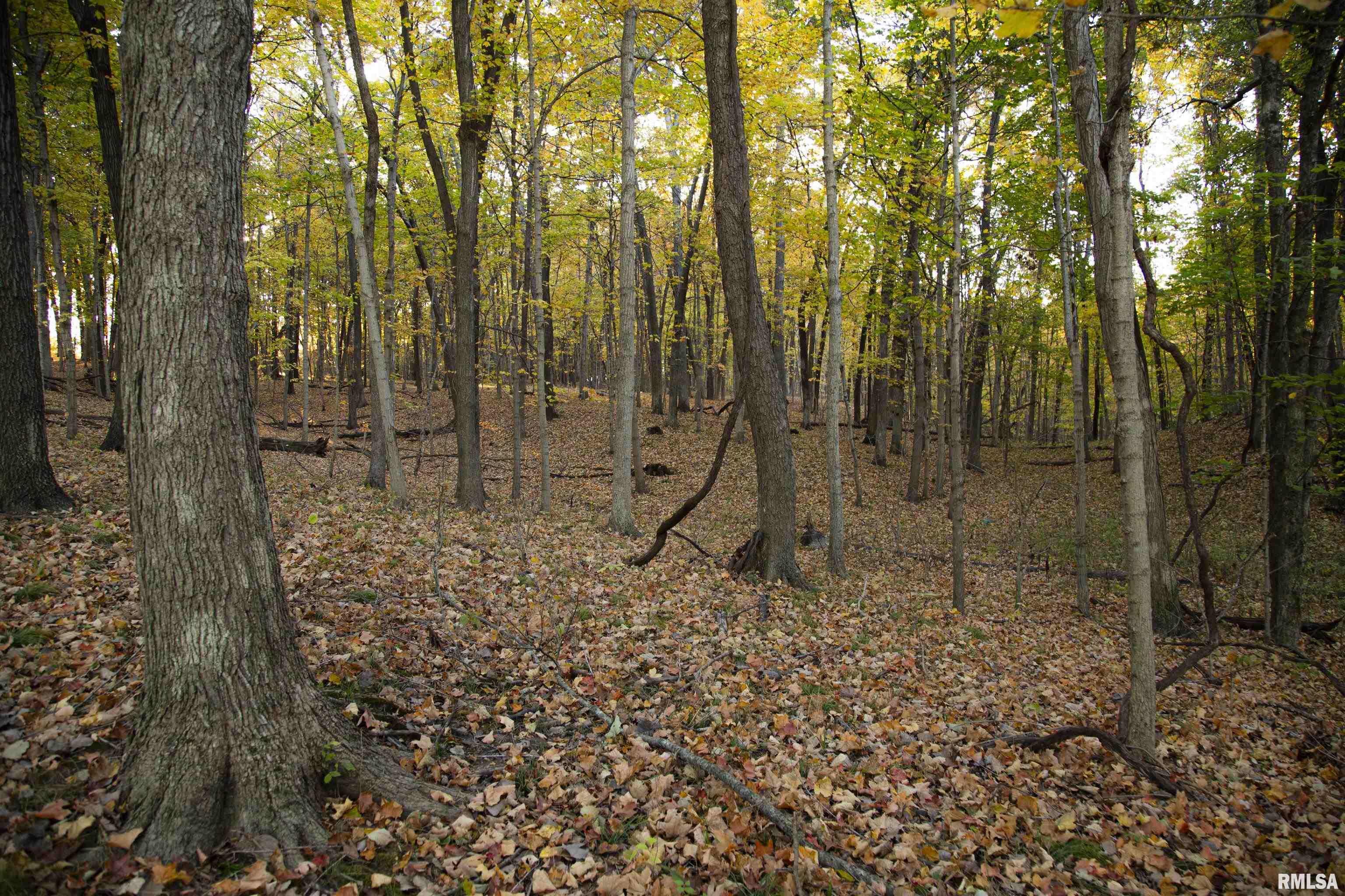 0 North Polecat Road Cuba, IL 61427 - Photo 17 of 39 Gallery Image 17