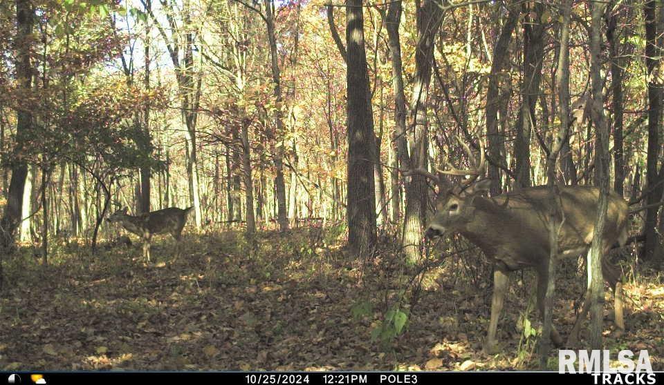0 North Polecat Road Cuba, IL 61427 - Photo 33 of 39 Gallery Image 33