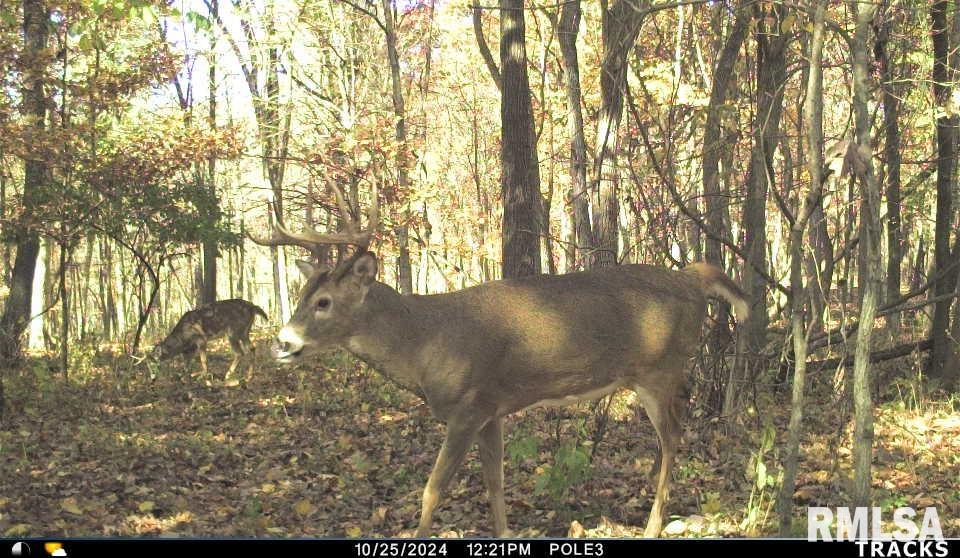 0 North Polecat Road Cuba, IL 61427 - Photo 34 of 39 Gallery Image 34