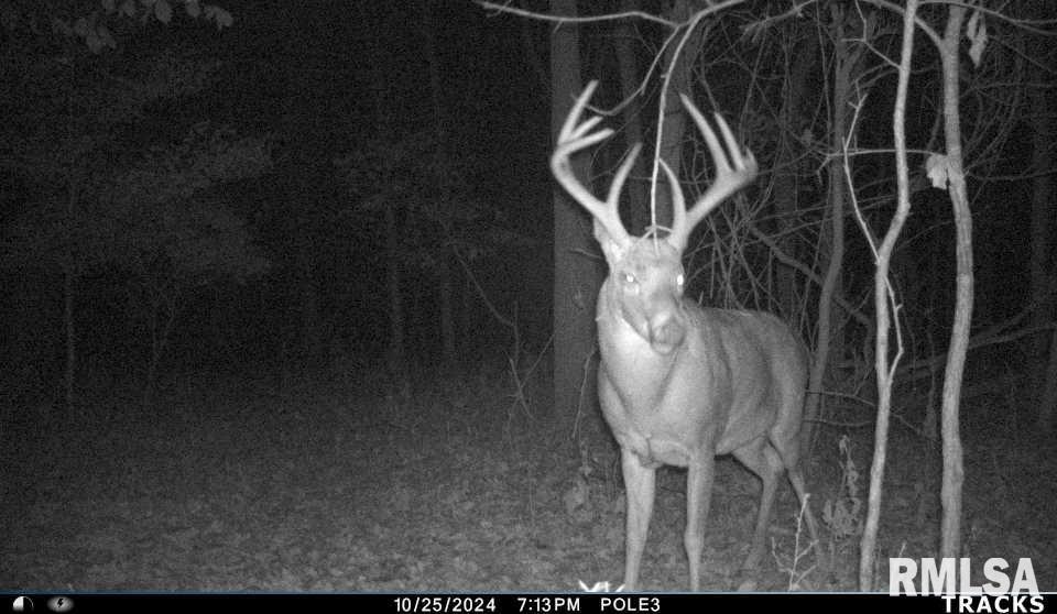 0 North Polecat Road Cuba, IL 61427 - Photo 35 of 39 Gallery Image 35