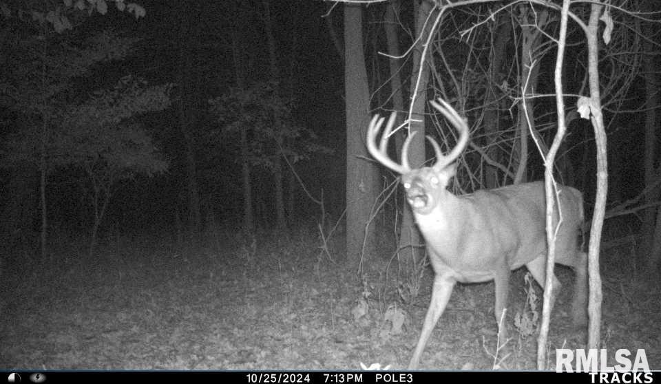 0 North Polecat Road Cuba, IL 61427 - Photo 36 of 39 Gallery Image 36