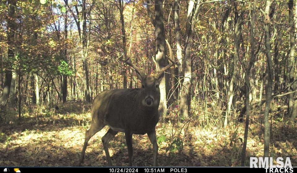 0 North Polecat Road Cuba, IL 61427 - Photo 38 of 39 Gallery Image 38