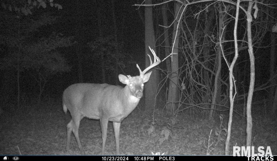 0 North Polecat Road Cuba, IL 61427 - Photo 39 of 39 Gallery Image 39