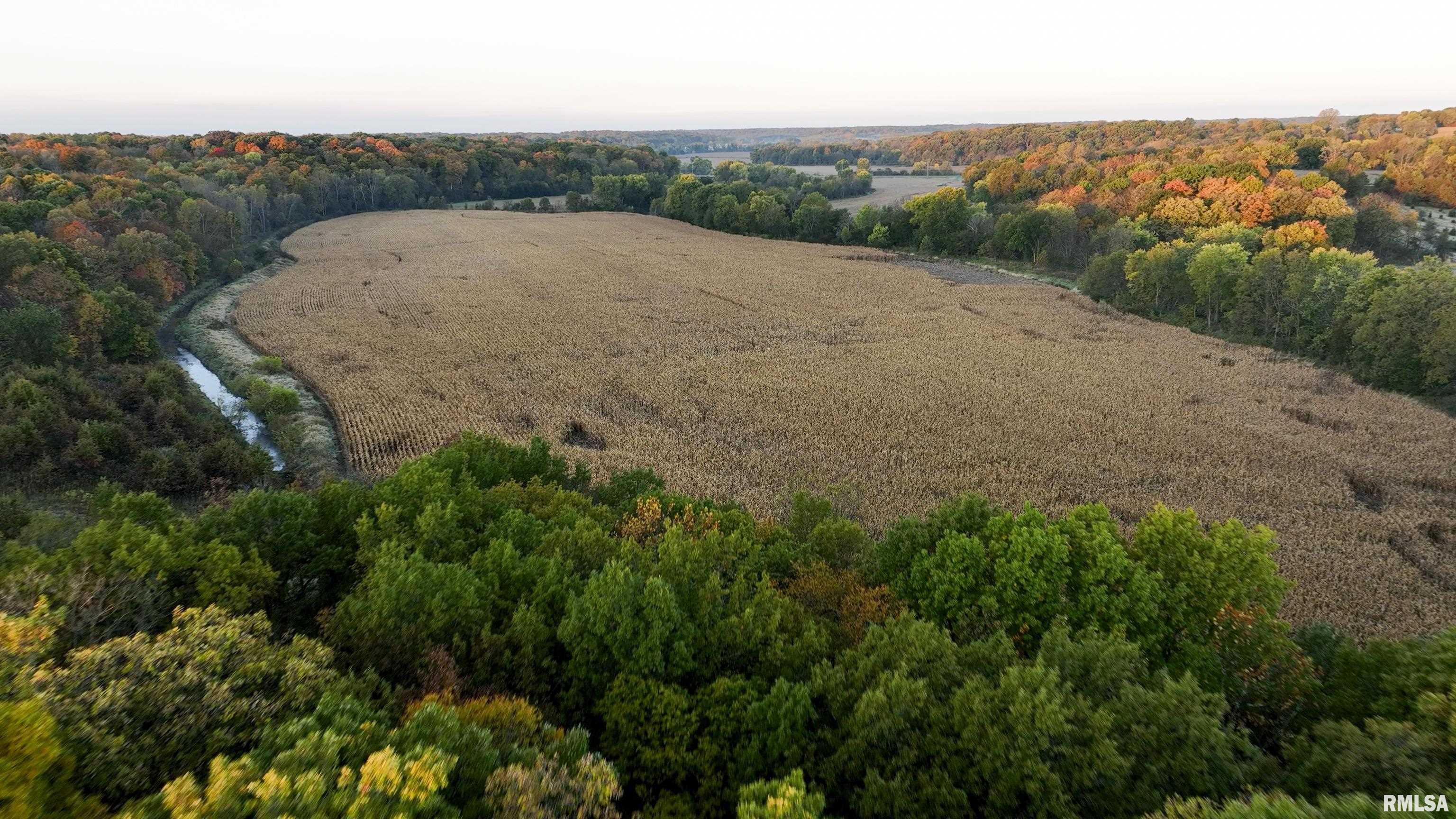 0 North Polecat Road Cuba, IL 61427 - Photo 5 of 39 Gallery Image 5