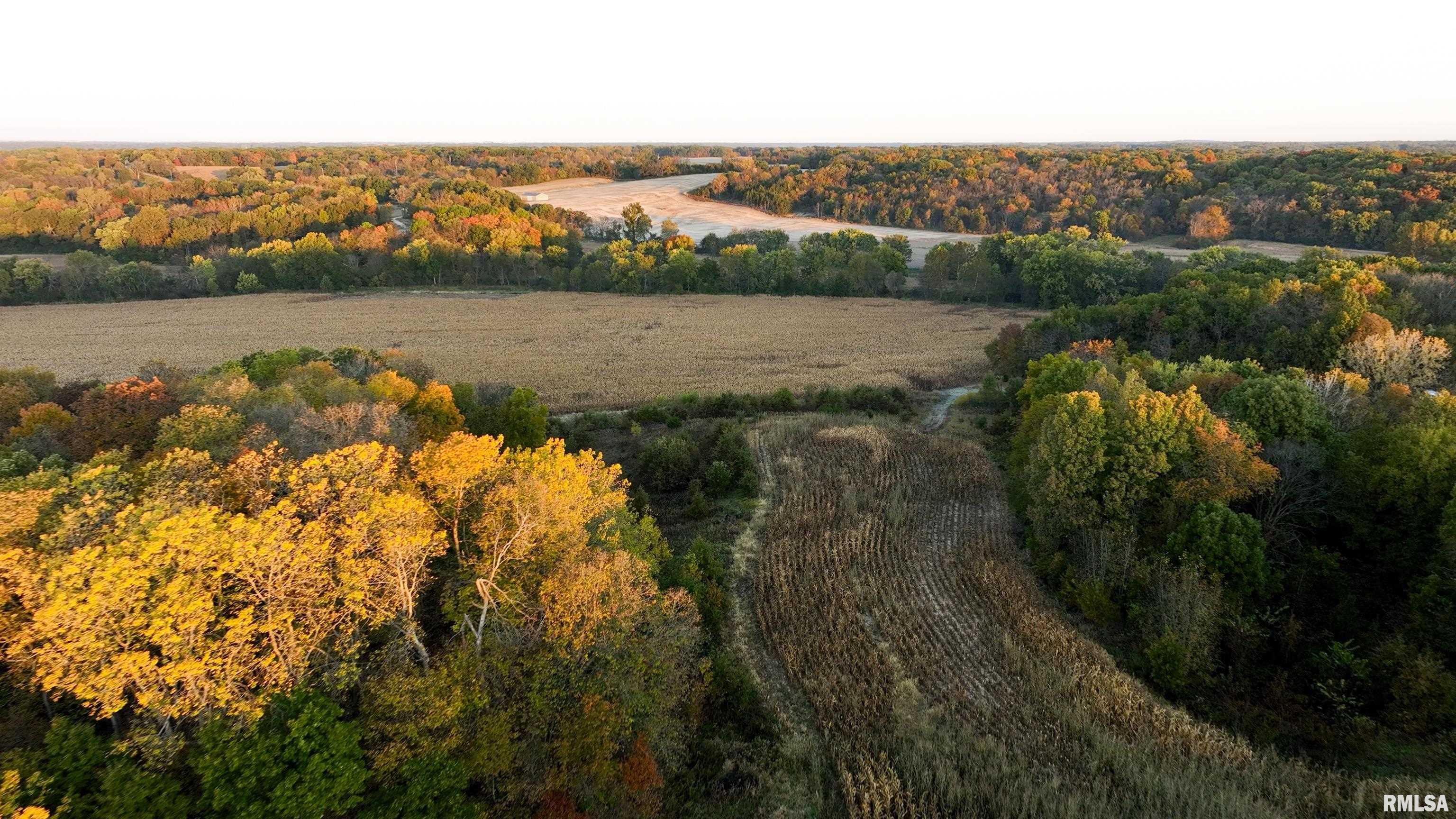 0 North Polecat Road Cuba, IL 61427 - Photo 6 of 39 Gallery Image 6