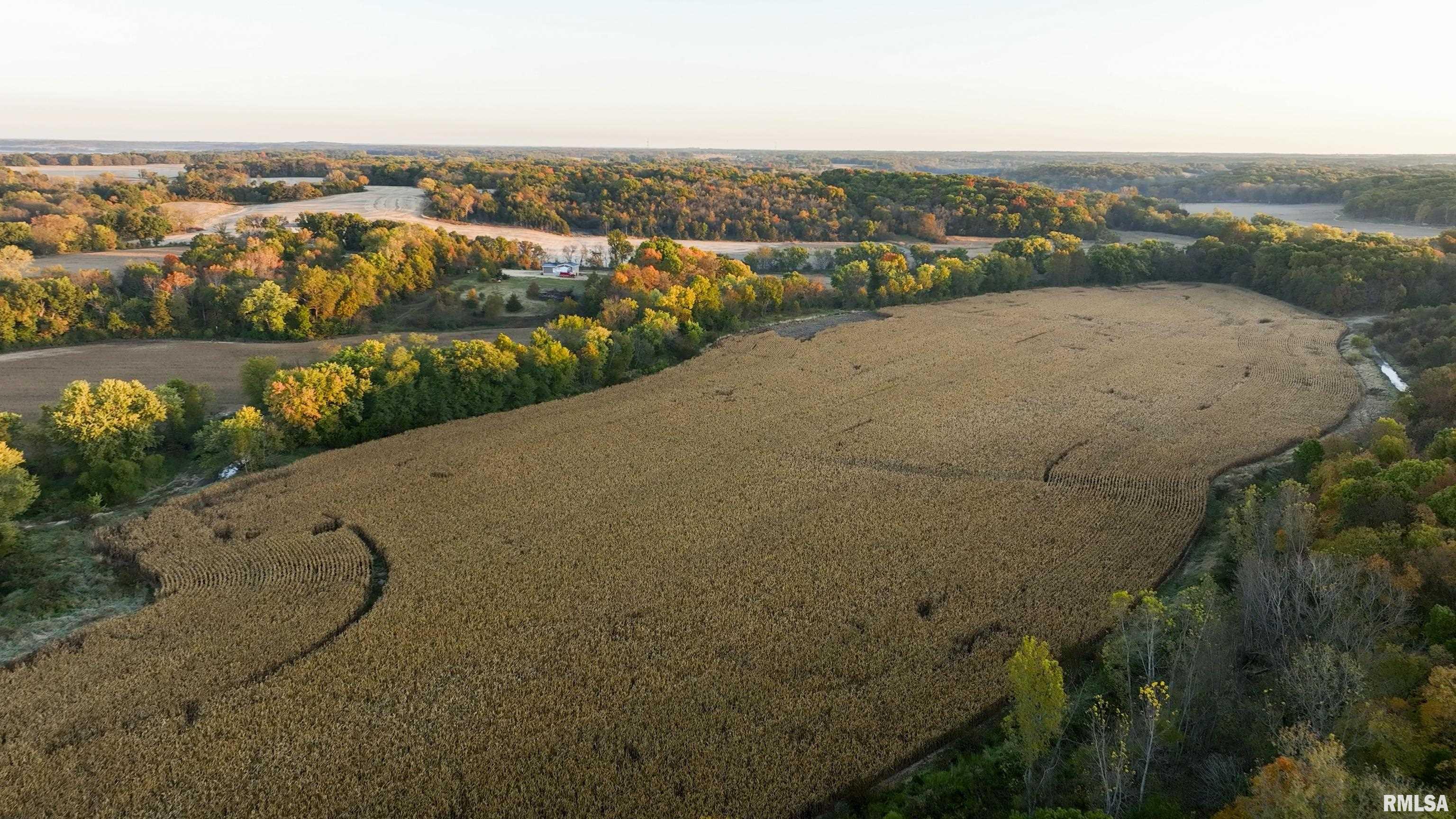 0 North Polecat Road Cuba, IL 61427 - Photo 10 of 39 Gallery Image 10