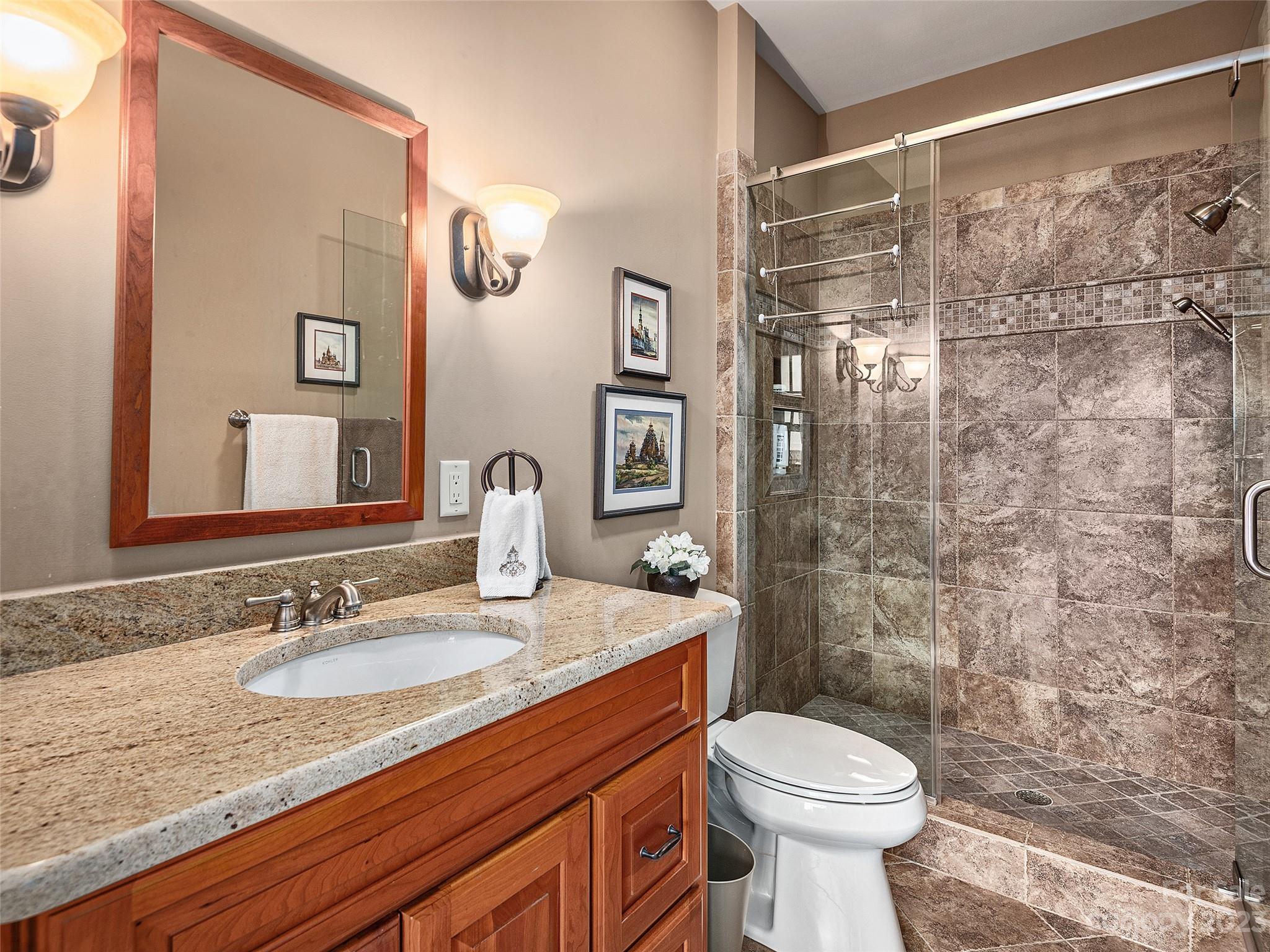 113 Willow Farm Road Fairview, NC 28730 - Photo 18 of 48 a bathroom with a granite countertop sink toilet and shower