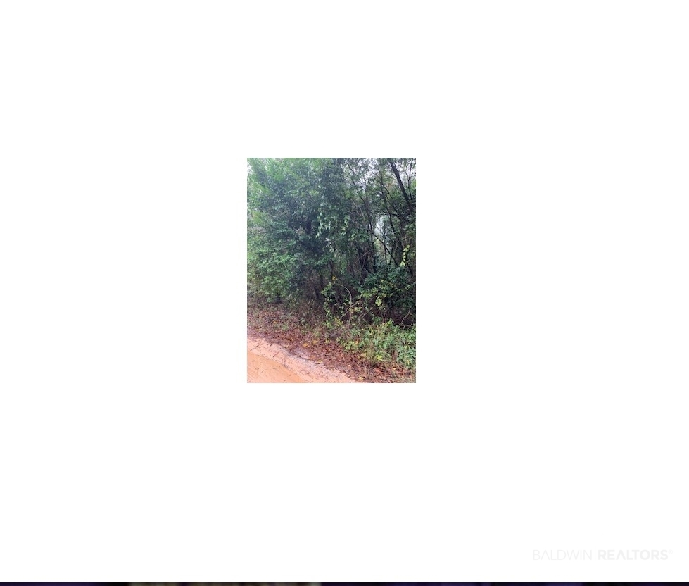 0 Carroll Avenue Eight Mile, AL 36613 - Photo 2 of 2