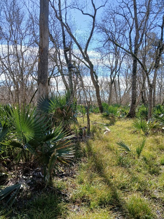 0 Hasema Sweeny, TX 77480 - Photo 11 of 12