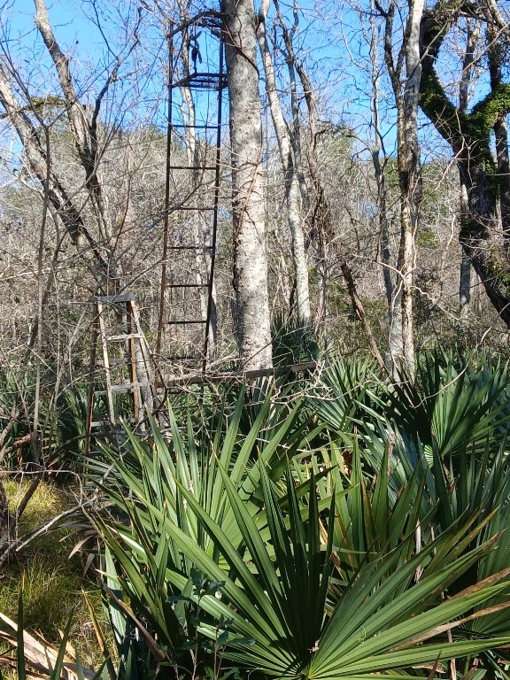 0 Hasema Sweeny, TX 77480 - Photo 12 of 12