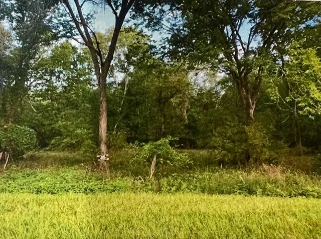 0 Hasema Sweeny, TX 77480 - Photo 3 of 12 a backyard of a house with lots of green space