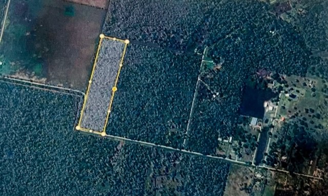 0 Hasema Sweeny, TX 77480 - Photo 4 of 12 a view of outdoor space and yard