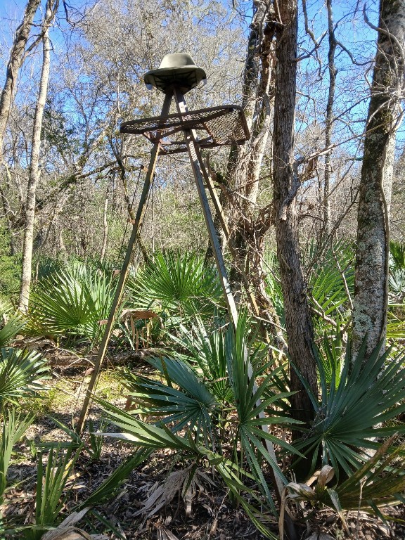 0 Hasema Sweeny, TX 77480 - Photo 7 of 12