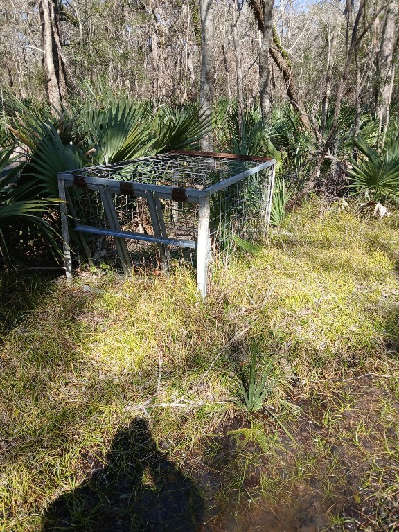 0 Hasema Sweeny, TX 77480 - Photo 9 of 12