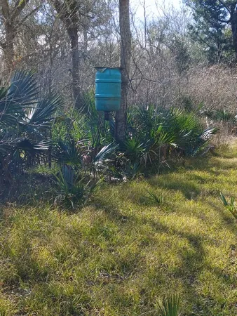 $200,000 | 0 Hasema, Sweeny, TX 77480