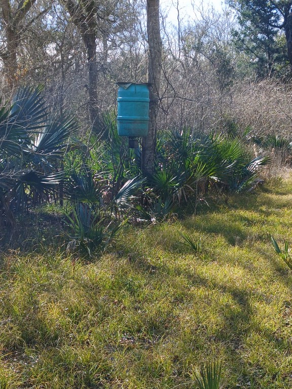 0 Hasema Sweeny, TX 77480 - Photo 10 of 12