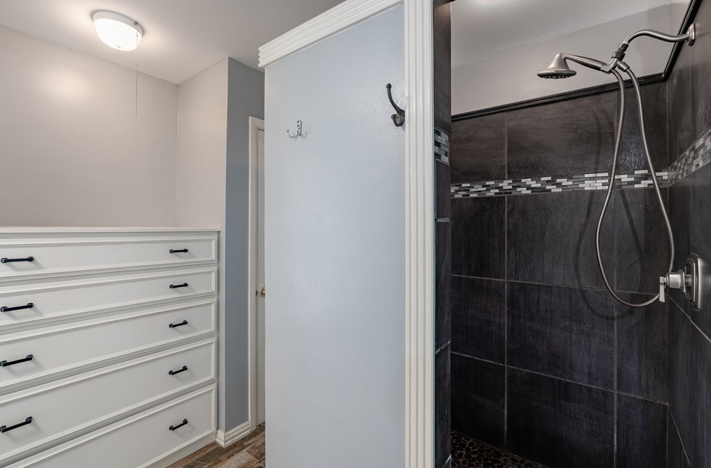 208 Front Street Comfort, TX 78013 - Photo 21 of 47 Primary Bathroom Walk in shower