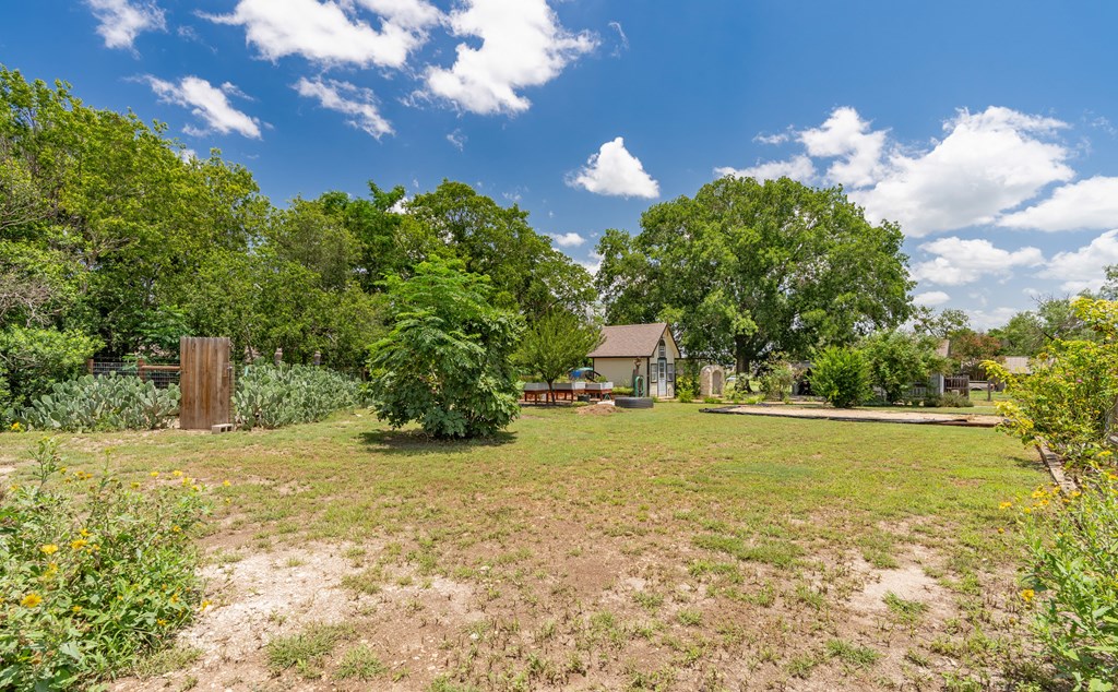 208 Front Street Comfort, TX 78013 - Photo 38 of 47 Back yard