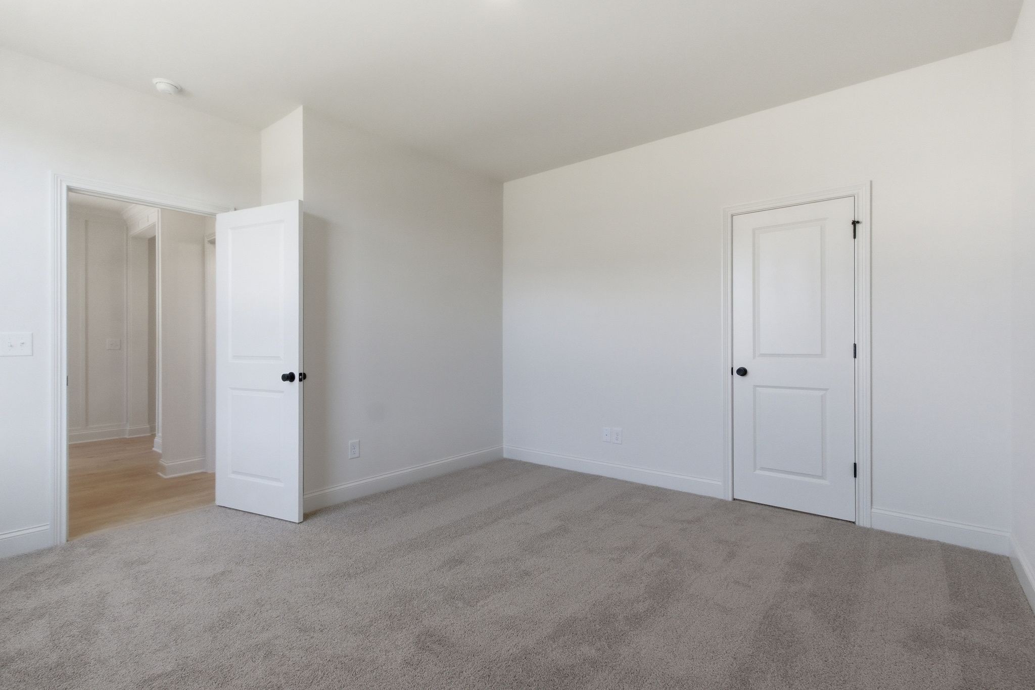 207 Phillips Bend Spring Hill, TN 37174 - Photo 8 of 67