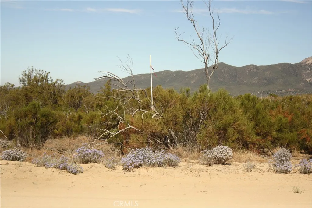 0 Pony Anza, CA 92539 - Photo 9 of 23