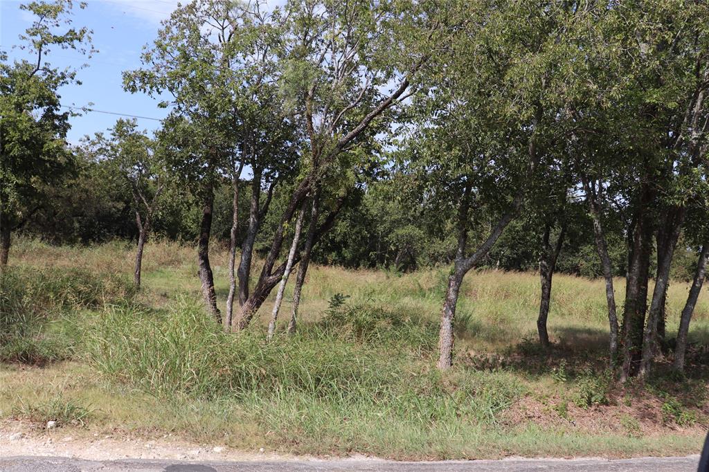 3010 South Nolan River Road Cleburne, TX 76033 - Photo 1 of 1 a view of a forest filled with trees