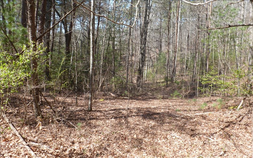 38 Wehutty Road Murphy, NC 28906 - Photo 1 of 4 Main View