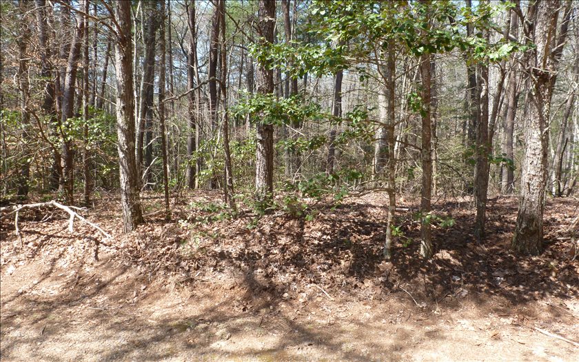 38 Wehutty Road Murphy, NC 28906 - Photo 3 of 4 Additional View