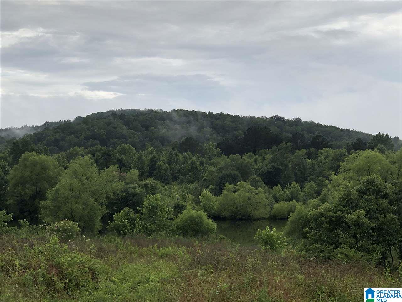 0 Old Downey Mill Road Anniston, AL 36207 - Photo 1 of 28
