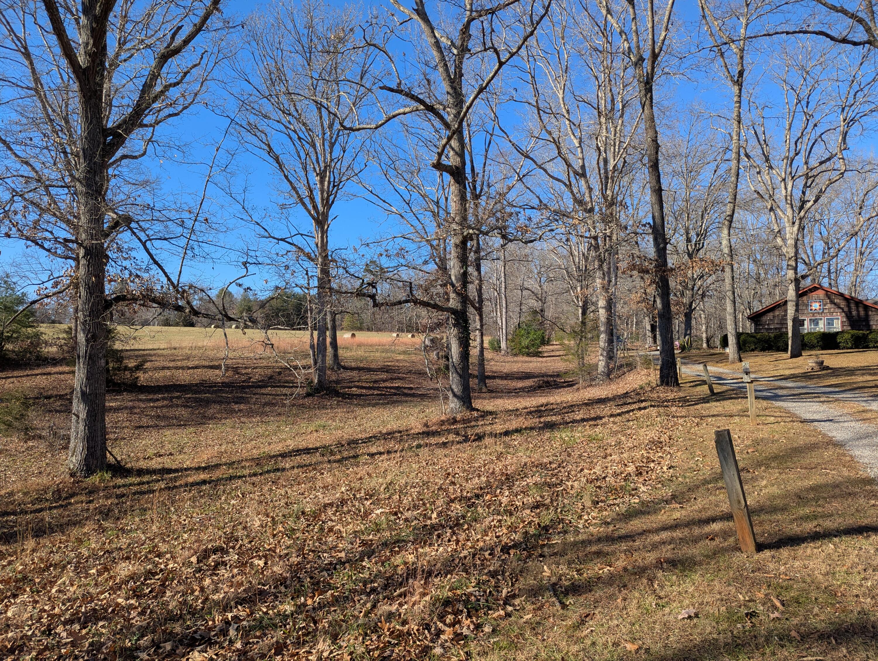 1115 Robin Ridge Road Henry, VA 24102 - Photo 31 of 59 a view of park with tree
