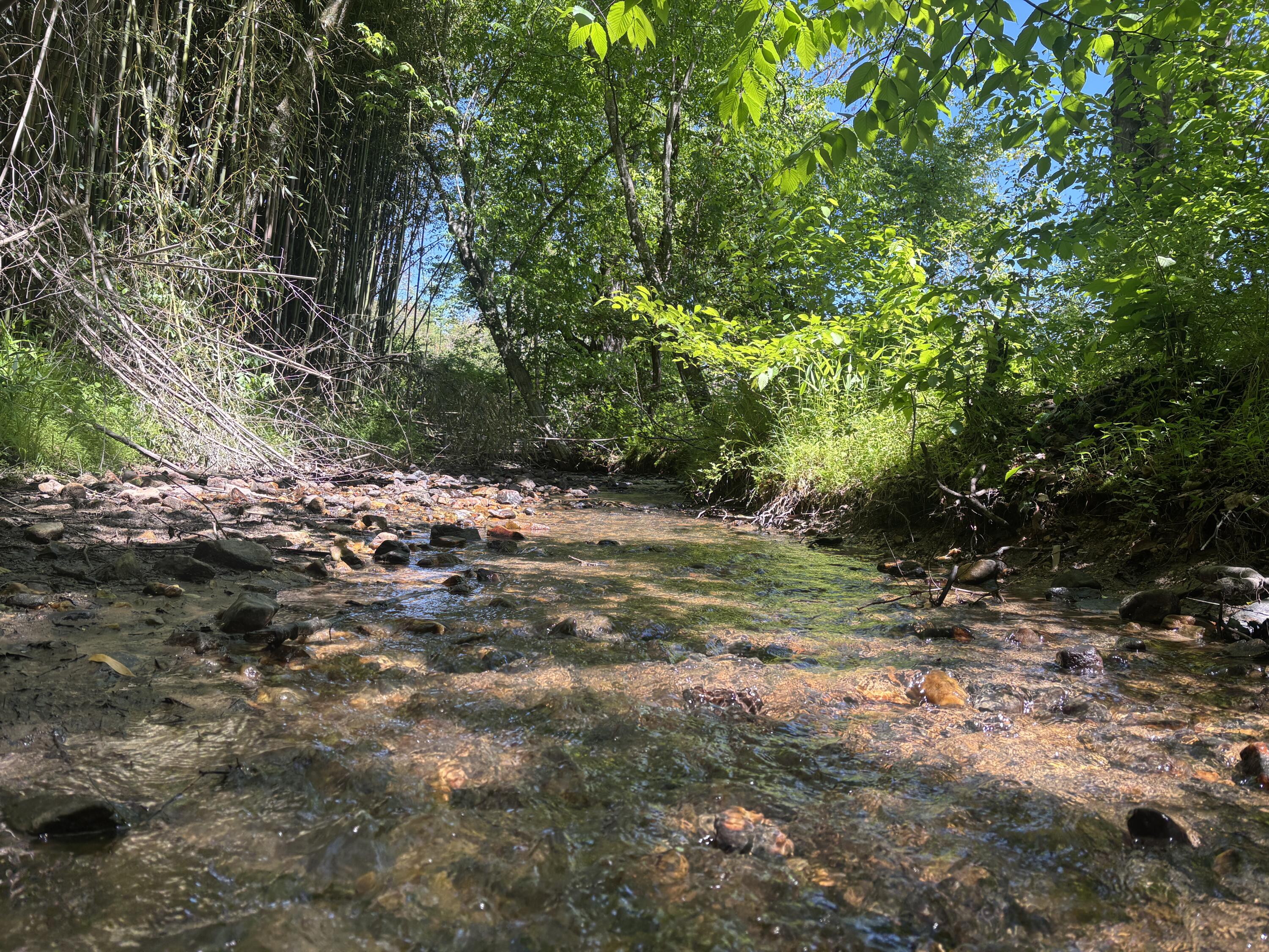1115 Robin Ridge Road Henry, VA 24102 - Photo 33 of 45 Stream
