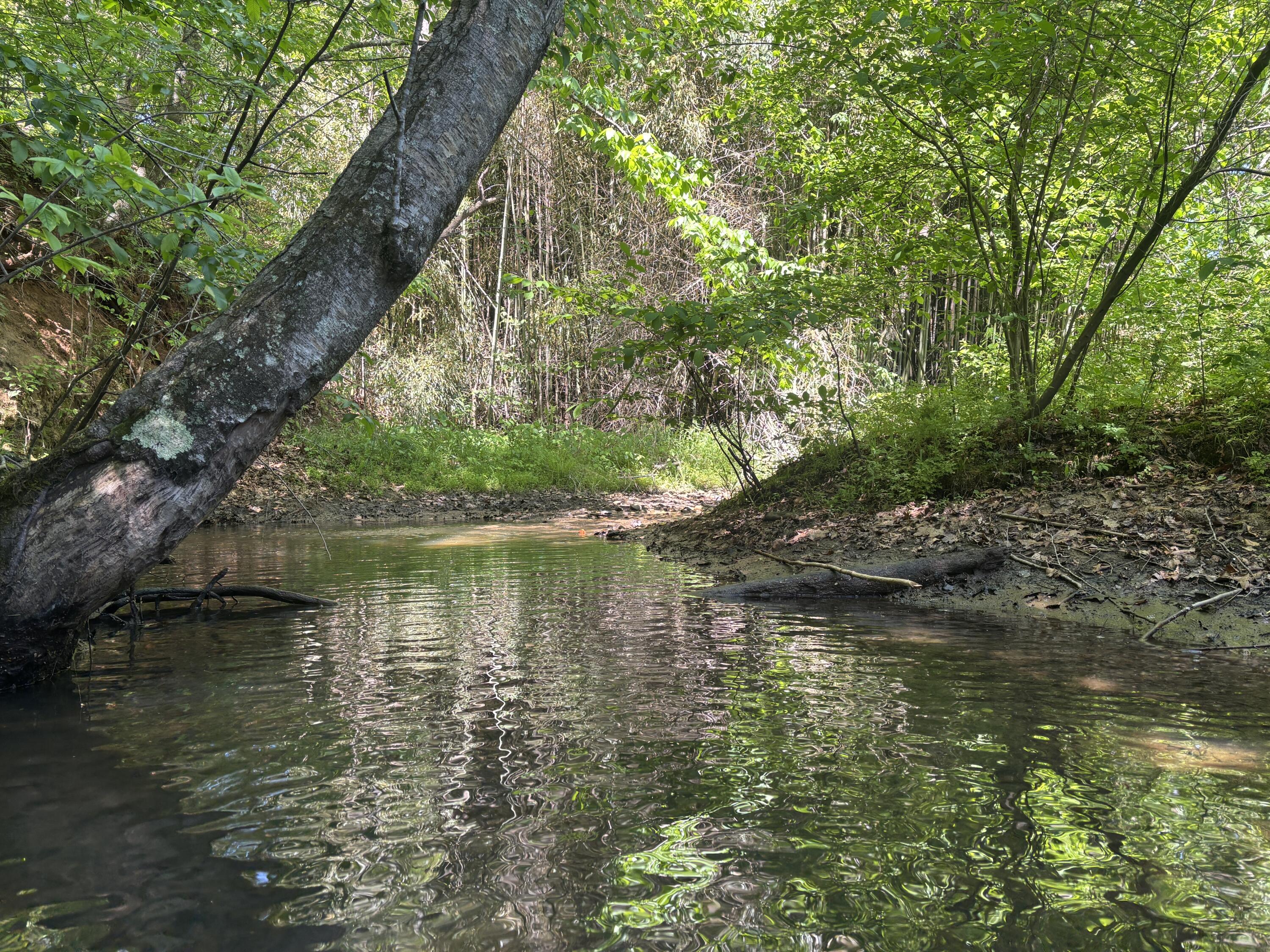 1115 Robin Ridge Road Henry, VA 24102 - Photo 35 of 45 Stream