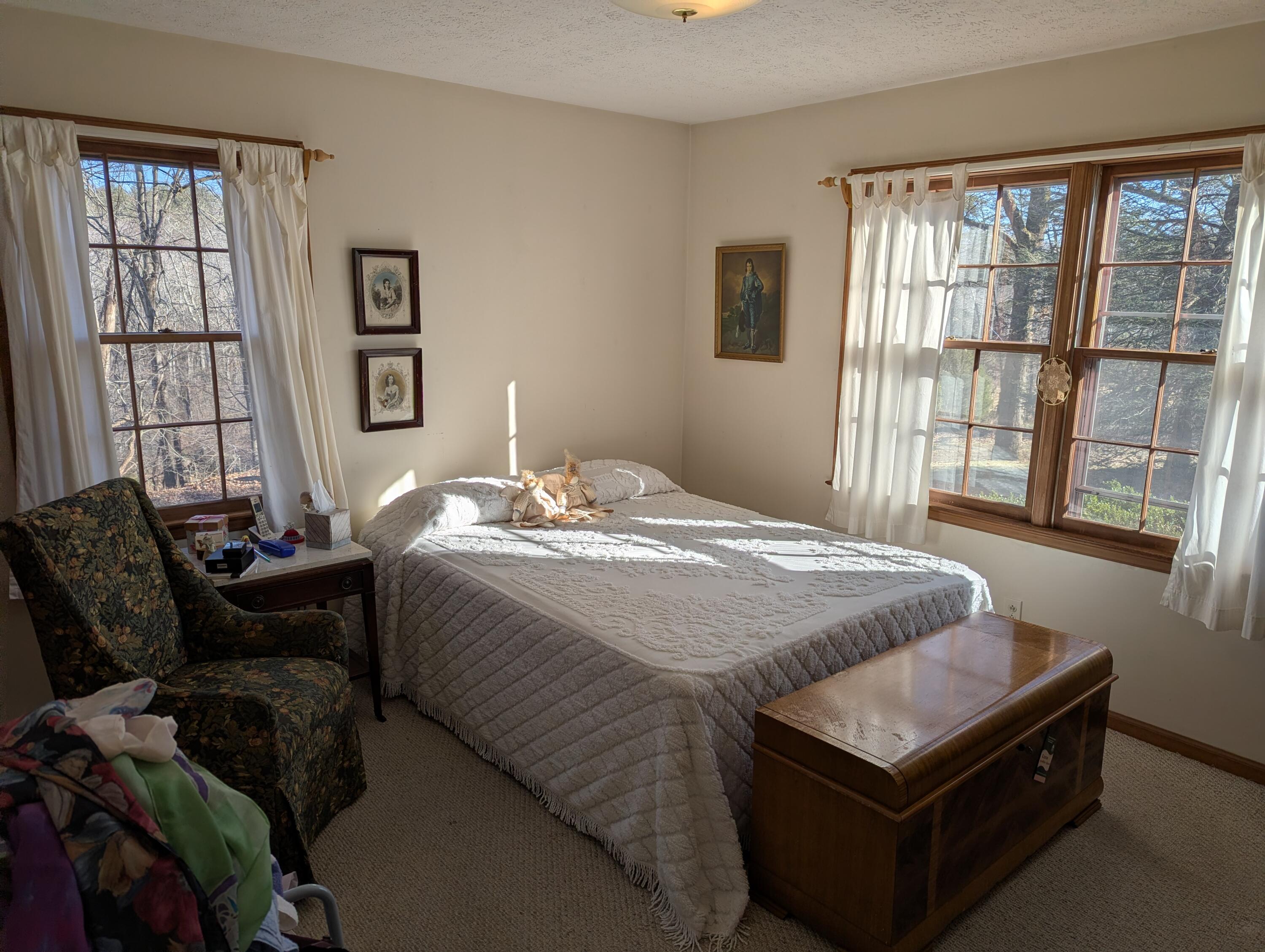 1115 Robin Ridge Road Henry, VA 24102 - Photo 7 of 59 a bedroom with bed couch and window