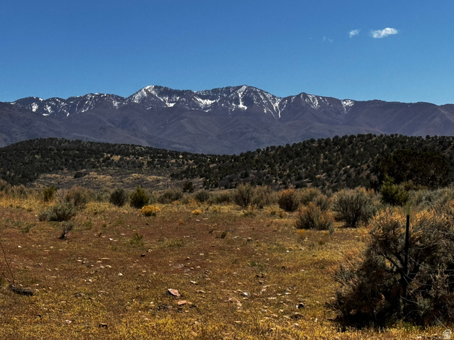 1530 East 1650 N Road Fillmore, UT 84631 - Photo 4 of 20