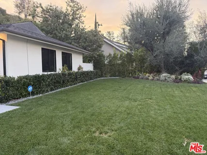 a view of a backyard with plants and large tree