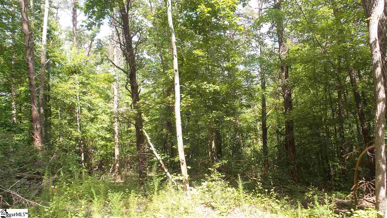 345 Belt Road Easley, SC 29640 - Photo 6 of 7