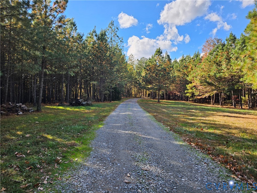 33051 Walnut Grove Farm Lane Hanover, VA 23069 - Photo 11 of 50 a view of a park