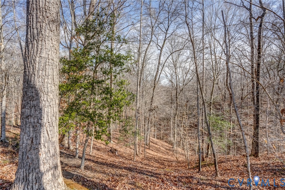 33051 Walnut Grove Farm Lane Hanover, VA 23069 - Photo 12 of 76