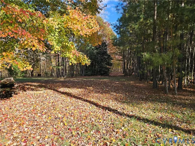 a view of a forest with trees