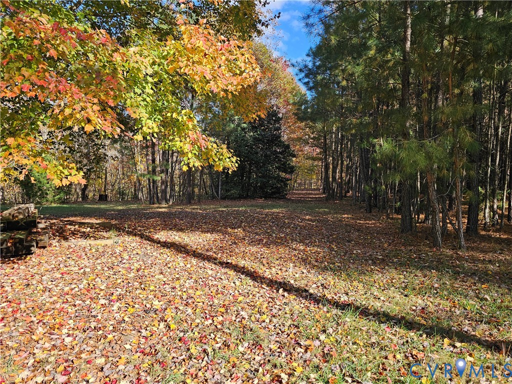 33051 Walnut Grove Farm Lane Hanover, VA 23069 - Photo 15 of 50 a view of backyard with green space