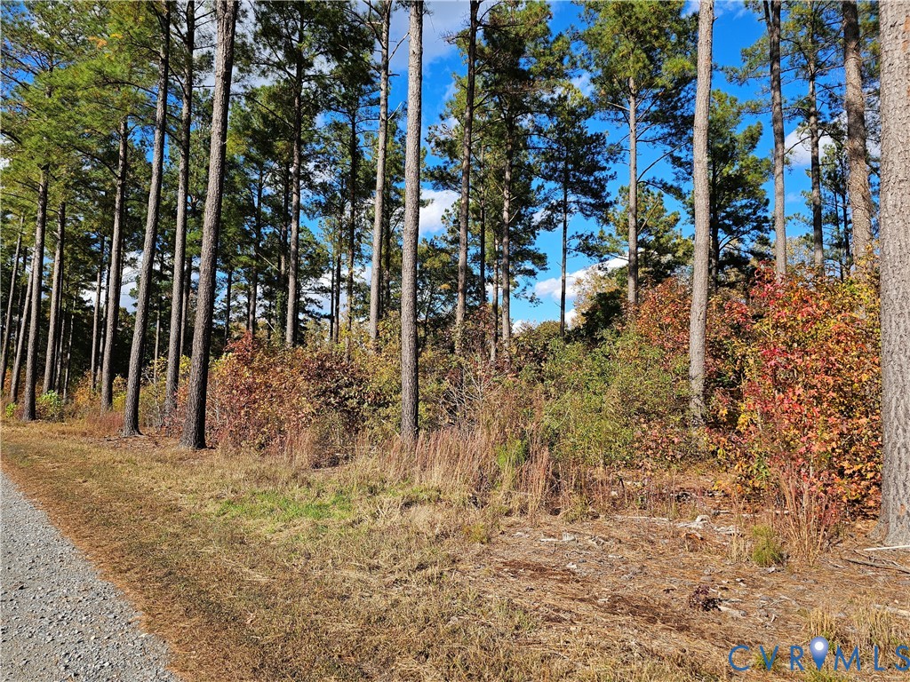 33051 Walnut Grove Farm Lane Hanover, VA 23069 - Photo 16 of 50